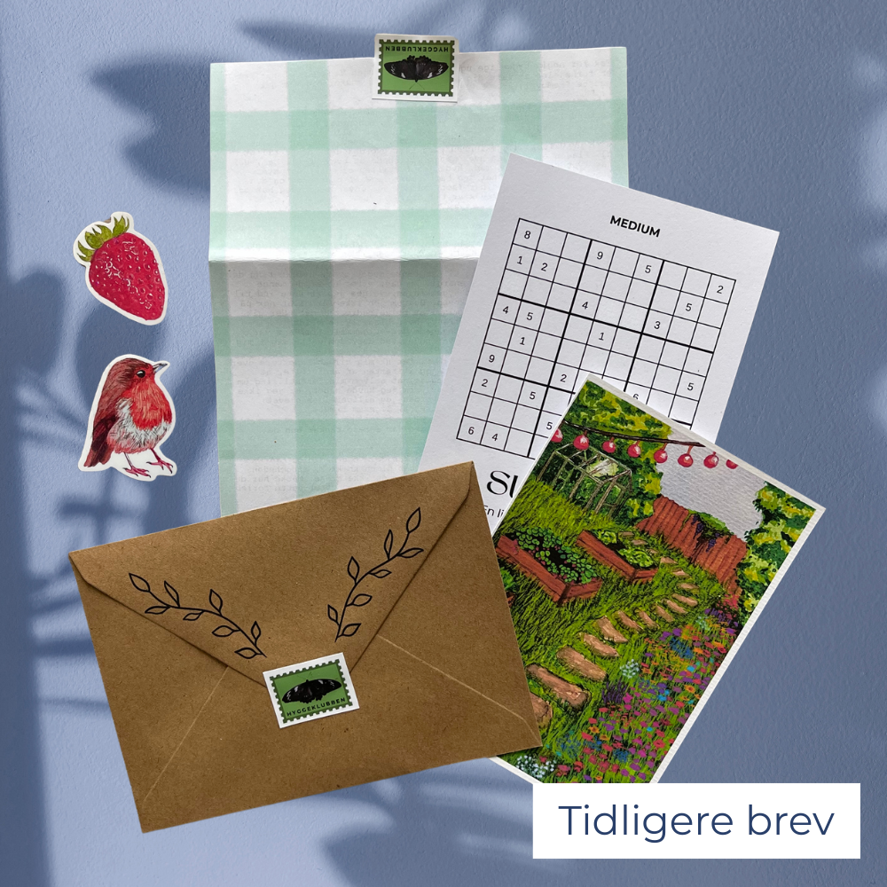 Hyggeklubben - Brevklub